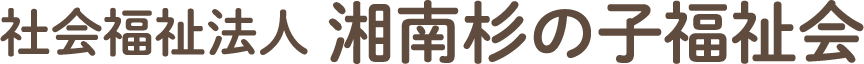 logo footer small